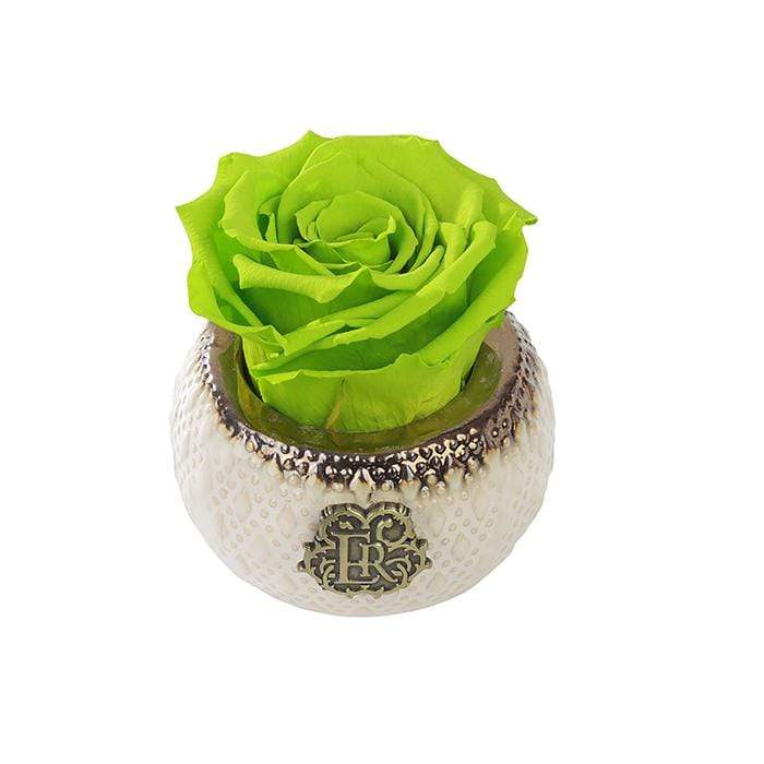 Eternal Roses® Centerpiece Mojito Mini Soho Classic Eternal Forever Rose