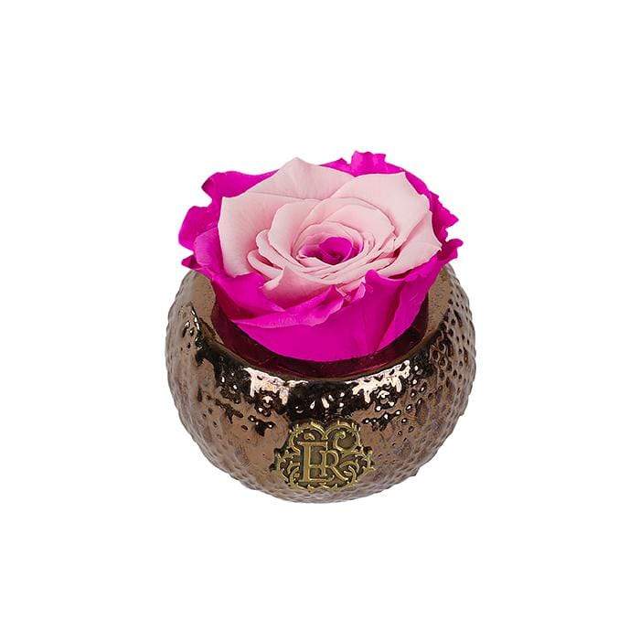 Eternal Roses® Centerpiece Mini Soho Royal Eternal Luxury Rose