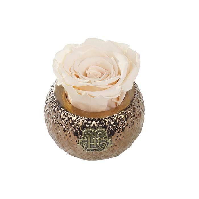 Eternal Roses® Centerpiece Champagne Mini Soho Royal Eternal Luxury Rose