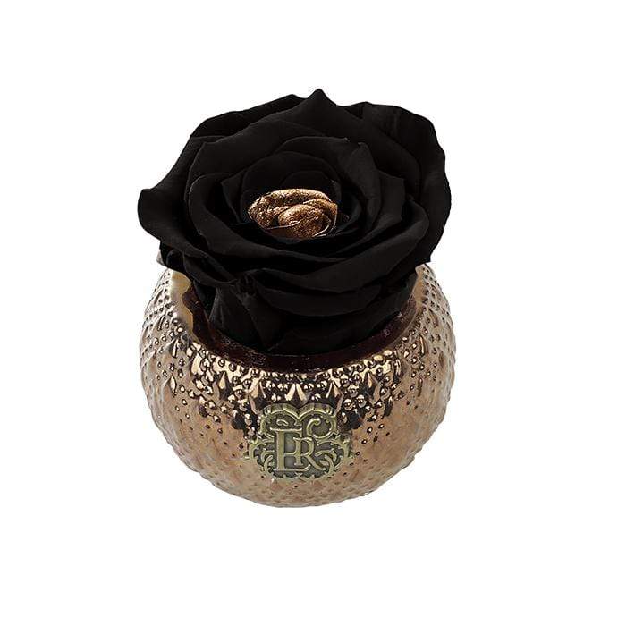 Eternal Roses® Centerpiece Starry Night Mini Soho Royal Eternal Luxury Rose