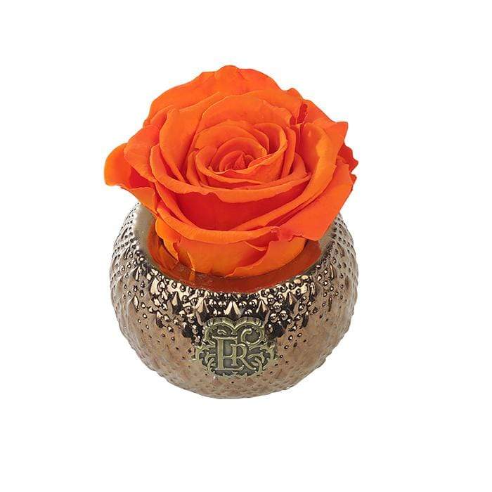 Eternal Roses® Centerpiece Sunset Mini Soho Royal Eternal Luxury Rose