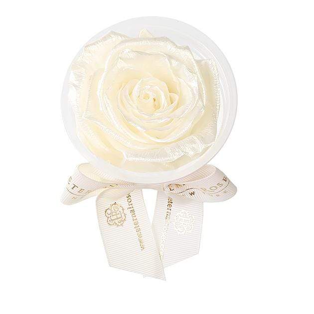 Eternal Roses® Frosted Pearl Eternal Rose Party Favor