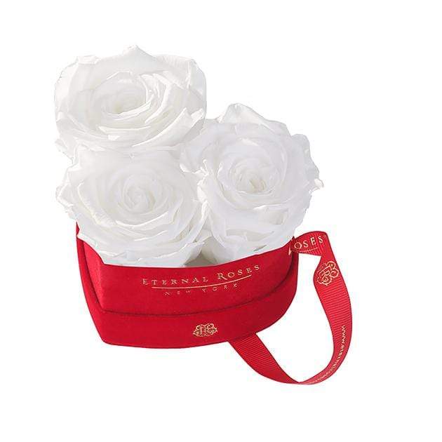 Eternal Roses® Frost Mini Chelsea Red Velvet Gift Box