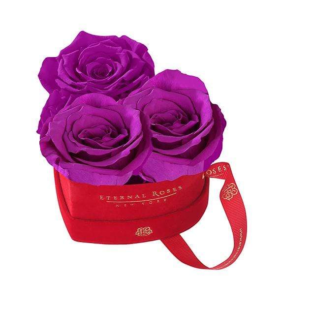 Eternal Roses® Orchid Mini Chelsea Red Velvet Gift Box