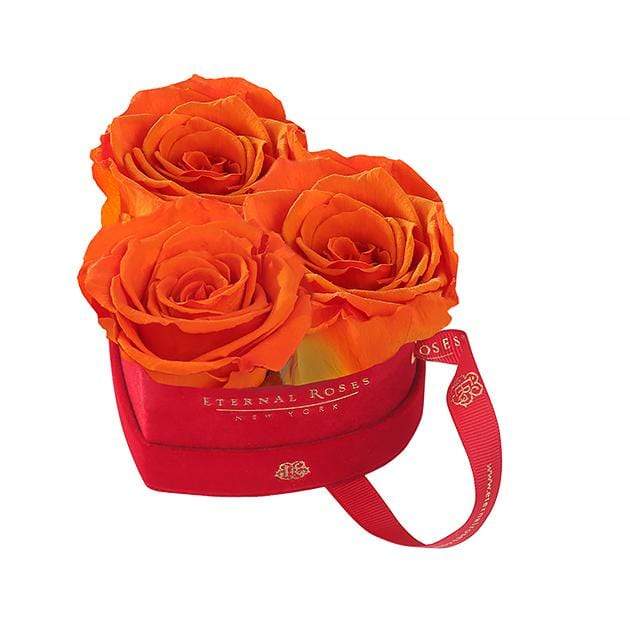 Eternal Roses® Sunset Mini Chelsea Red Velvet Gift Box - Perfect Valentine Gift