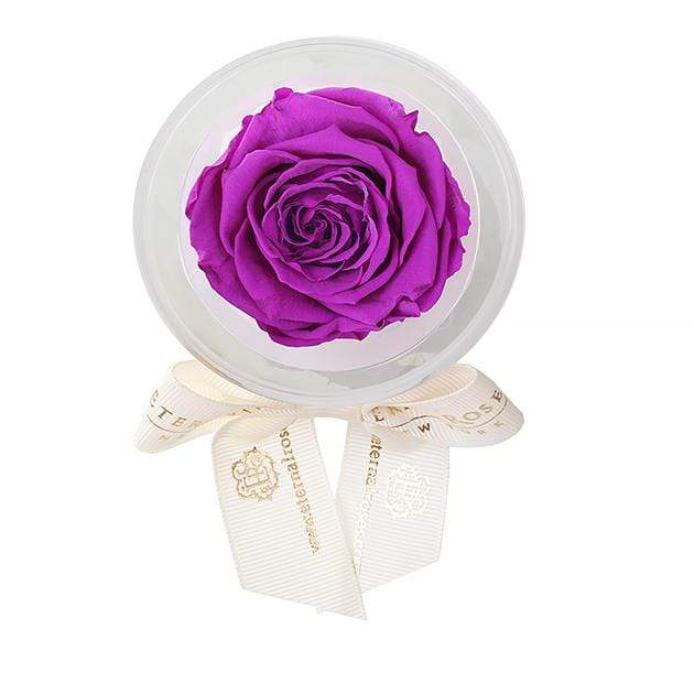 Eternal Roses® Orchid Mini Eternal Rose Party Favor Set of 6