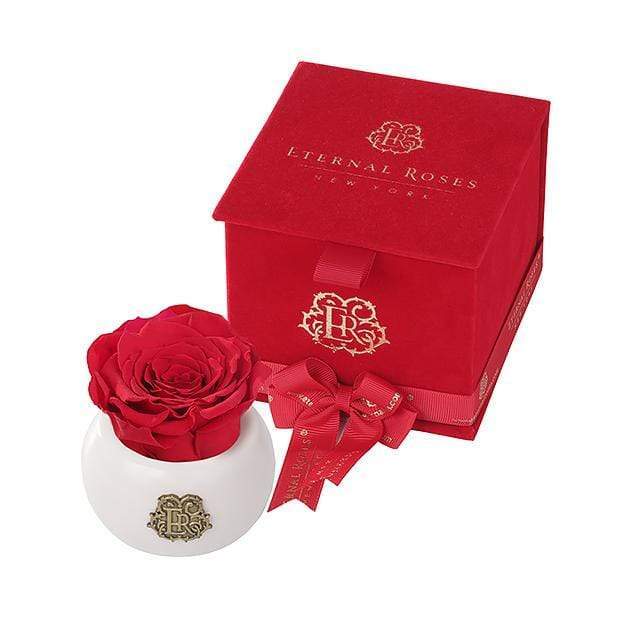 Eternal Roses® Scarlet Nobu Red Velvet Gift Box