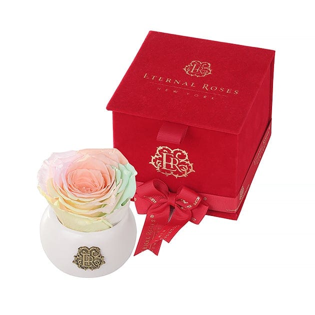 Eternal Roses® Macaroon Nobu Red Velvet Gift Box