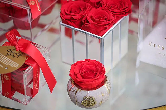 Tiffany Red Velvet Gift Box