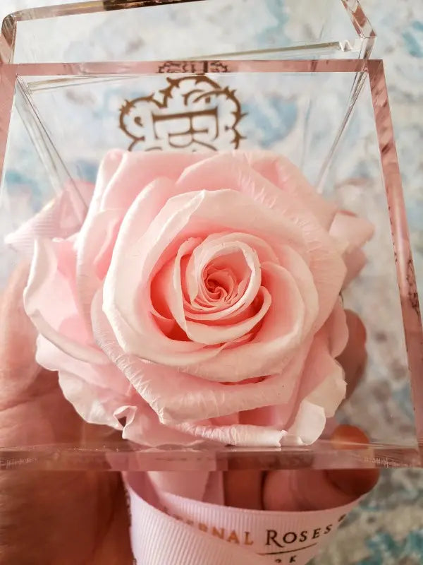 Eternal Roses - Remo Roses and Edibles