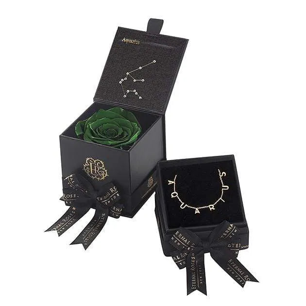 Eternal Roses® Wintergreen Aquarius Astor Box & Necklace Bundle