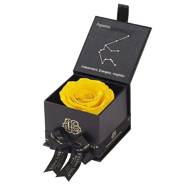 Eternal Roses® Black / Friendship Yellow Astor Eternal Rose Gift Box - Aquarius
