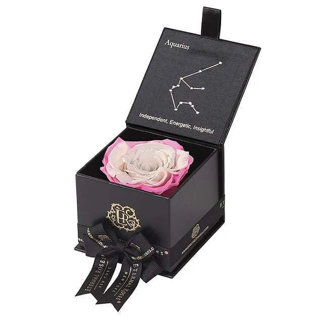 Eternal Roses® Black / Sweet Pink Astor Eternal Rose Gift Box - Aquarius