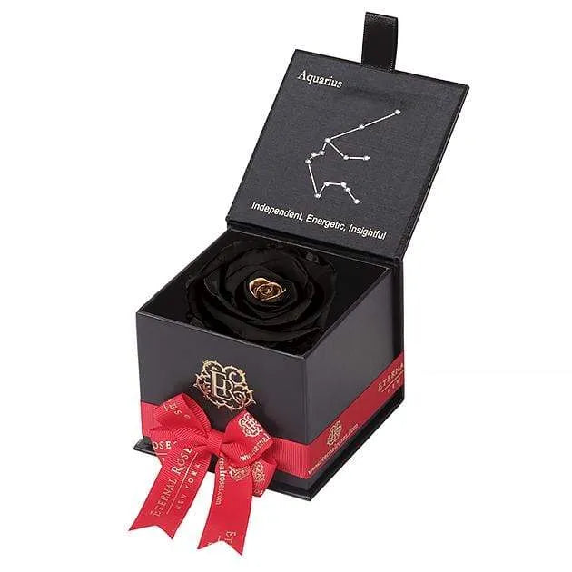 Eternal Roses® Black / Starry Night Astor Eternal Rose Gift Box - Aquarius