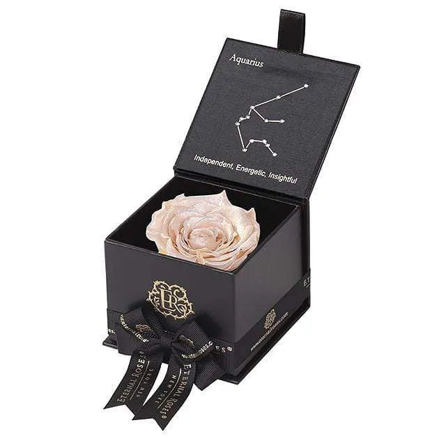 Eternal Roses® Black / Pearly Champagne Astor Eternal Rose Gift Box - Aquarius