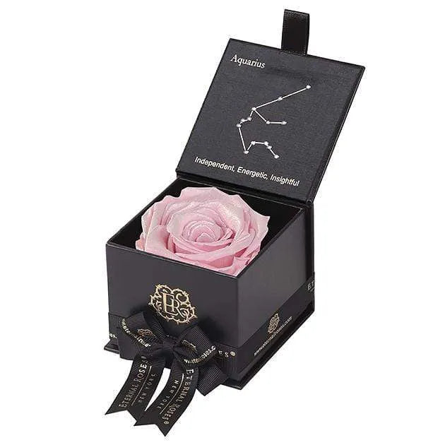 Eternal Roses® Black / Pearly Pink Astor Eternal Rose Gift Box - Aquarius