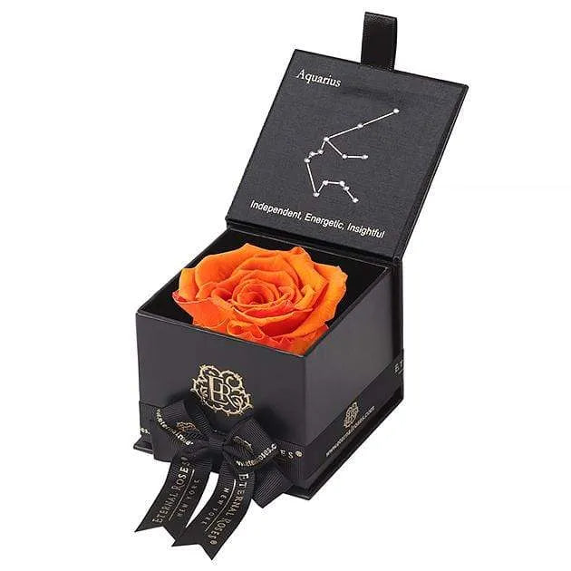 Eternal Roses® Black / Sunset Astor Eternal Rose Gift Box - Aquarius