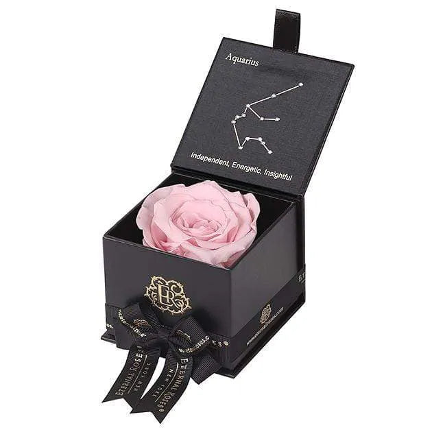 Eternal Roses® Black / Blush Astor Eternal Rose Gift Box - Aquarius