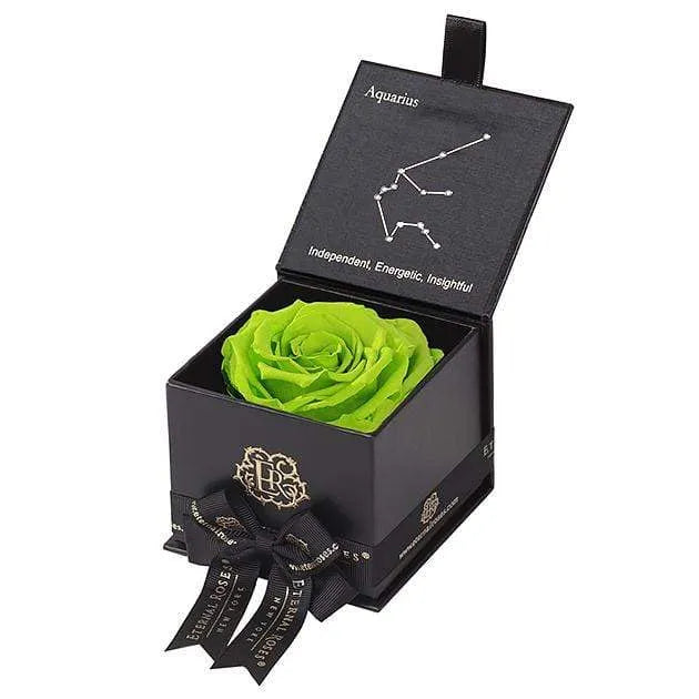 Eternal Roses® Black / Mojito Astor Eternal Rose Gift Box - Aquarius