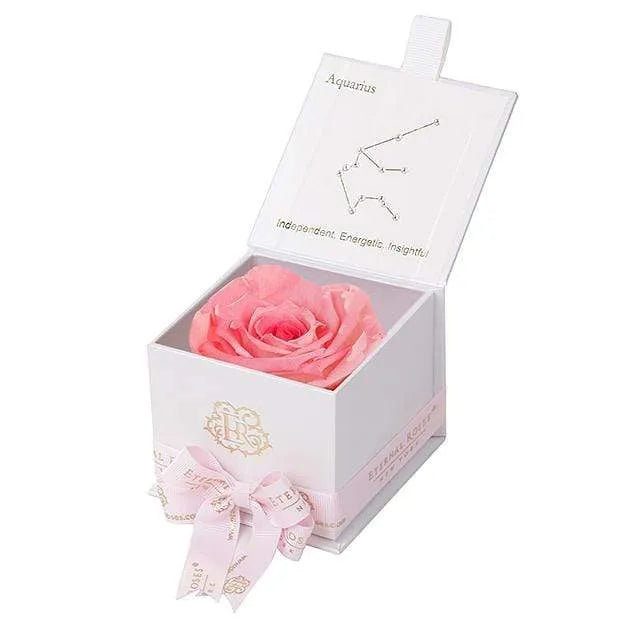 Eternal Roses® White / Amaryllis Astor Eternal Rose Gift Box - Aquarius