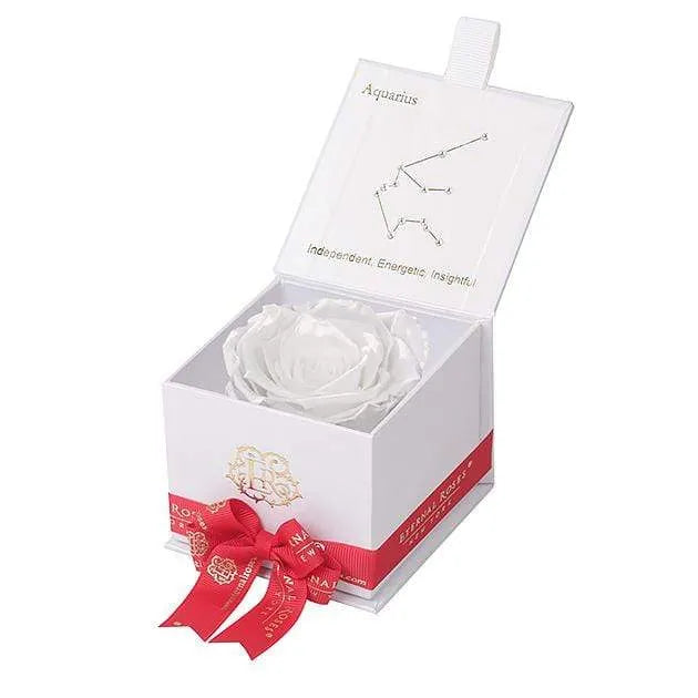 Eternal Roses® White / Frost Astor Eternal Rose Gift Box - Aquarius