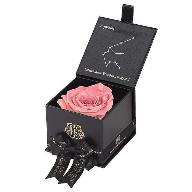 Eternal Roses® Black / Amaryllis Astor Eternal Rose Gift Box - Aquarius