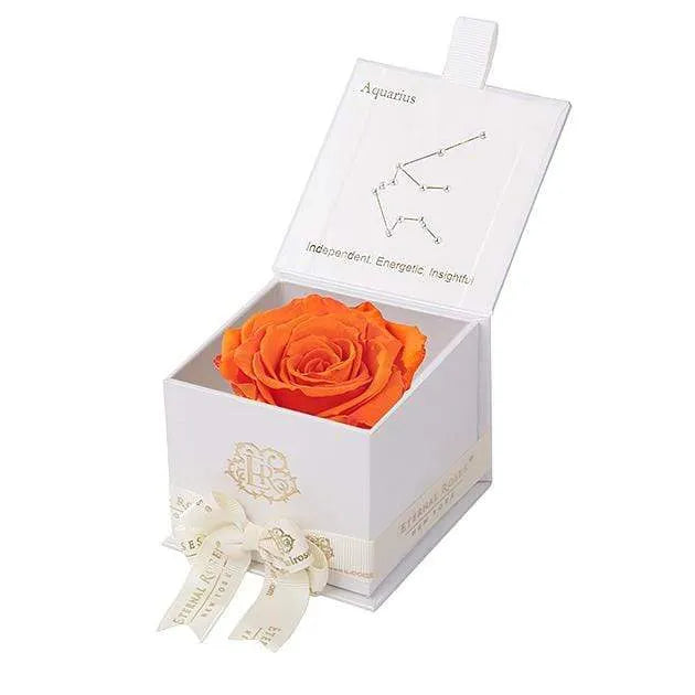 Eternal Roses® White / Sunset Astor Eternal Rose Gift Box - Aquarius