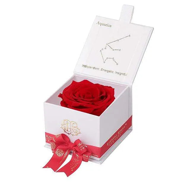 Eternal Roses® White / Scarlet Astor Eternal Rose Gift Box - Aquarius