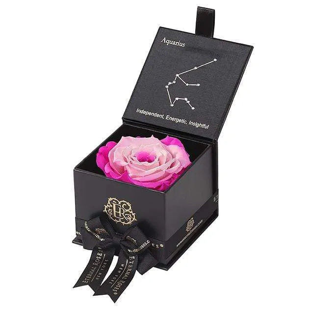 Eternal Roses® Black / Fuschia Lily Astor Eternal Rose Gift Box - Aquarius