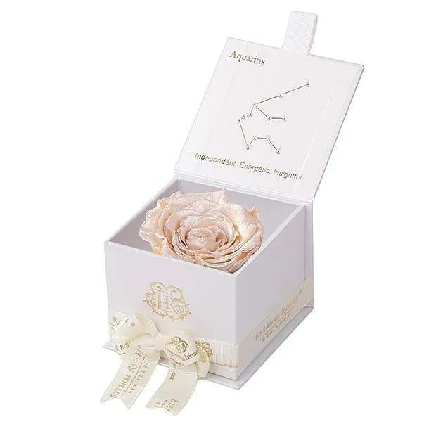 Eternal Roses® White / Pearly Champagne Astor Eternal Rose Gift Box - Aquarius