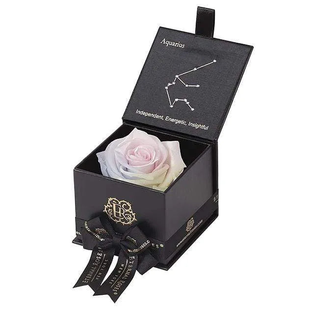 Eternal Roses® Black / Aurora Astor Eternal Rose Gift Box - Aquarius
