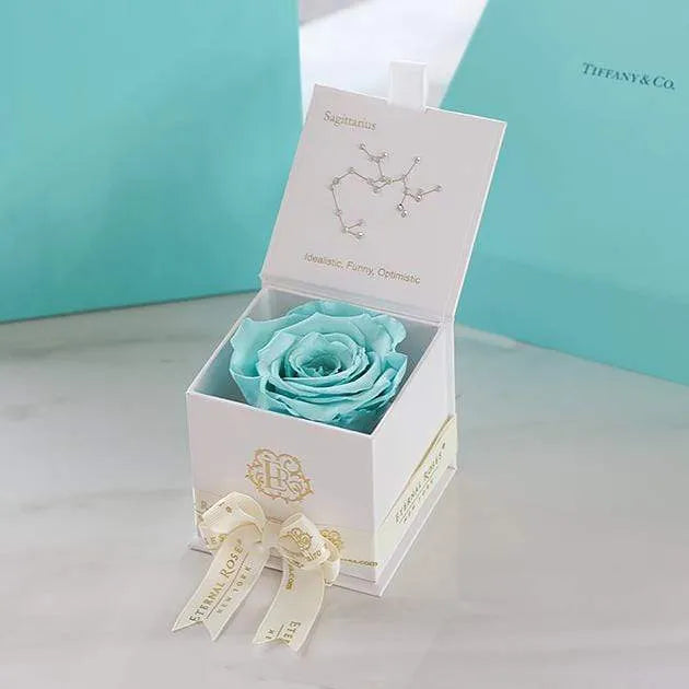 Eternal Roses® Astor Eternal Rose Gift Box - Aquarius