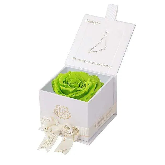 Eternal Roses® White / Mojito Astor Eternal Rose Gift Box - Capricorn