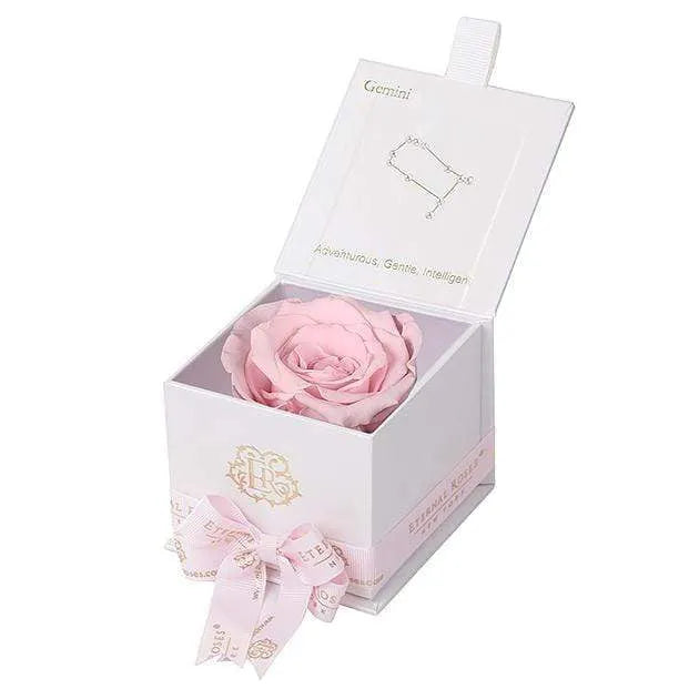 Eternal Roses® White / Blush Astor Eternal Rose Gift Box - Gemini