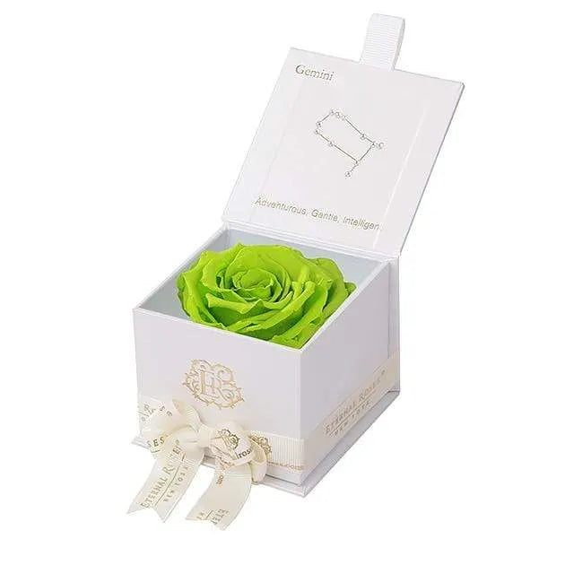 Eternal Roses® White / Mojito Astor Eternal Rose Gift Box - Gemini