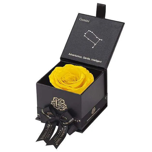 Eternal Roses® Black / Friendship Yellow Astor Eternal Rose Gift Box - Gemini