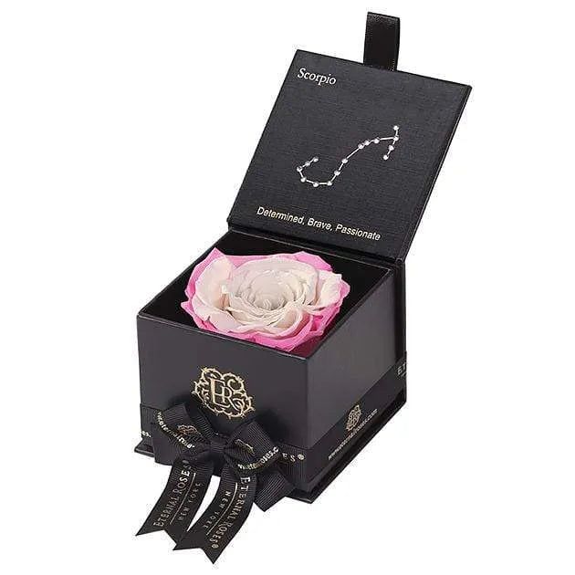Eternal Roses® Black / Sweet Pink Astor Eternal Rose Gift Box - Scorpio