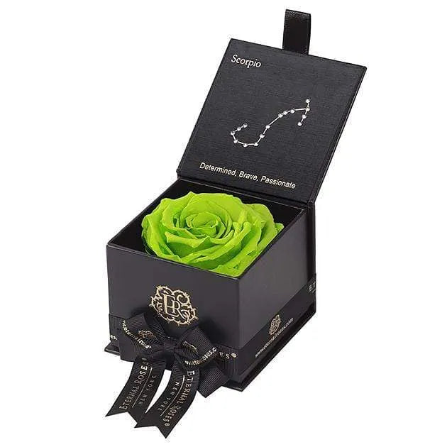 Eternal Roses® Black / Mojito Astor Eternal Rose Gift Box - Scorpio