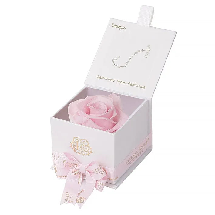 Eternal Roses® Astor Gift Box White / Pink Martini Astor Eternal Rose Box - Scorpio Gifts