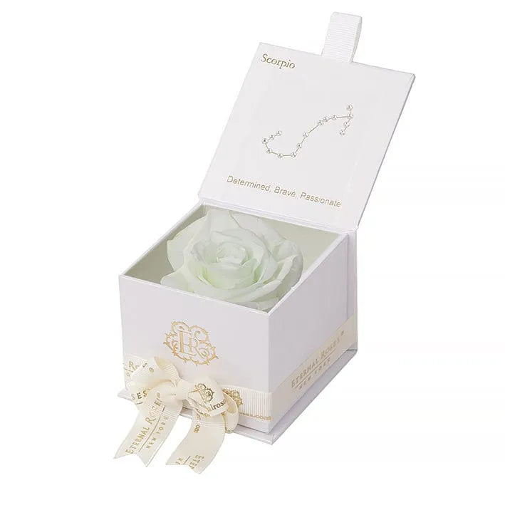 Eternal Roses® Astor Gift Box White / Mint Astor Eternal Rose Box - Scorpio Gifts