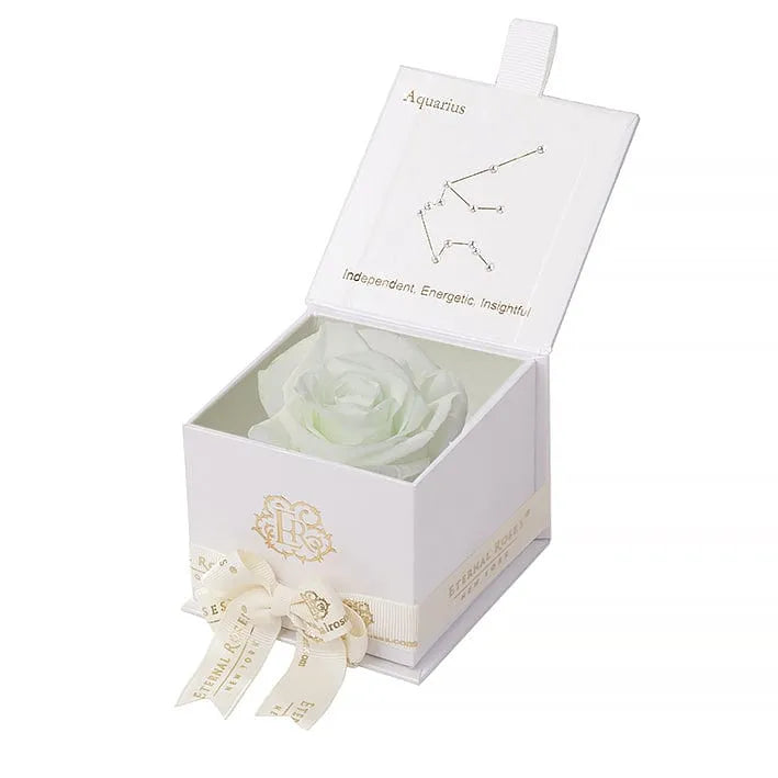 Eternal Roses® Astor Gift Box White / Mint Astor Eternal Rose Gift Box - Aquarius