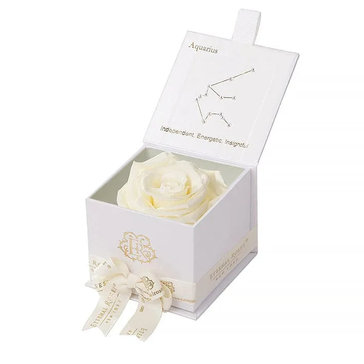 Eternal Roses® Astor Gift Box Astor Eternal Rose Gift Box - Aquarius