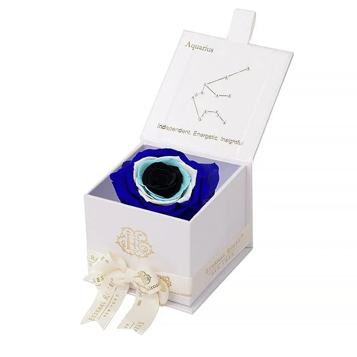 Eternal Roses® Astor Gift Box White / Evil Eye Astor Eternal Rose Gift Box - Aquarius