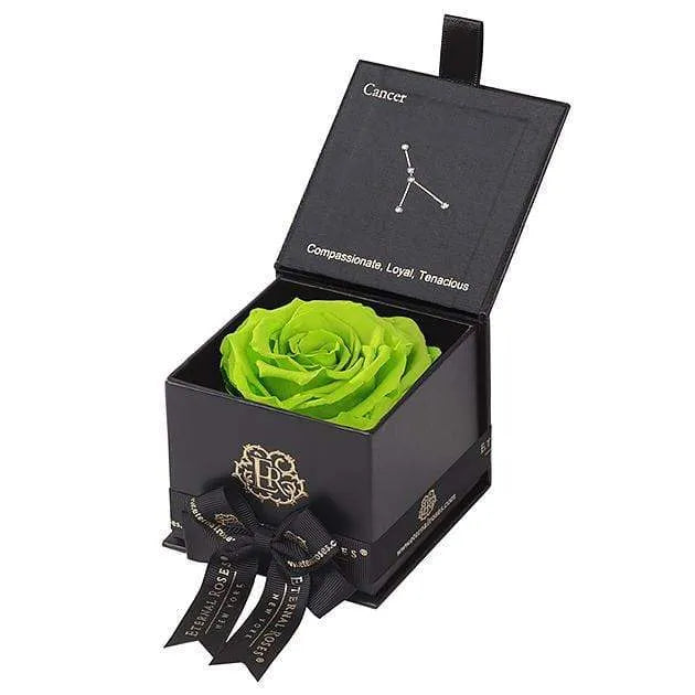 Eternal Roses® Astor Gift Box Black / Mojito Astor Eternal Rose Gift Box - Cancer