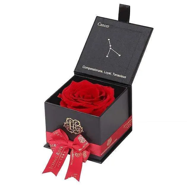 Eternal Roses® Astor Gift Box Black / Scarlet Astor Eternal Rose Gift Box - Cancer