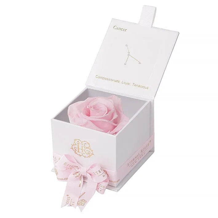 Eternal Roses® Astor Gift Box White / Pink Martini Astor Eternal Rose Gift Box - Cancer