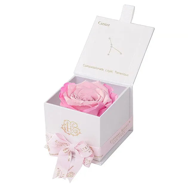 Eternal Roses® Astor Gift Box White / Rossette Astor Eternal Rose Gift Box - Cancer