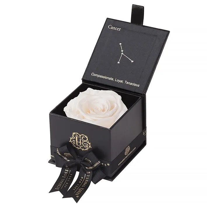Eternal Roses® Astor Gift Box Black / Mimosa Astor Eternal Rose Gift Box - Cancer