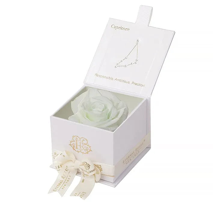 Eternal Roses® Astor Gift Box White / Mint Astor Eternal Rose Gift Box - Capricorn