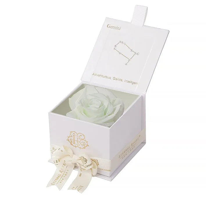 Eternal Roses® Astor Gift Box White / Mint Astor Eternal Rose Gift Box - Gemini